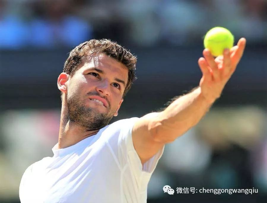 未来期待 未来期待